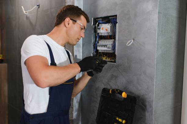 Best Electric Panel Repair  in Baraboo, WI